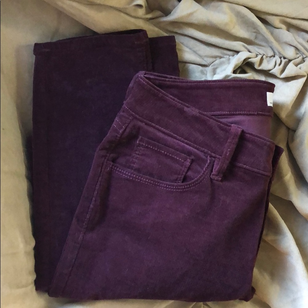 Ann Taylor Loft Cord Jean Pant